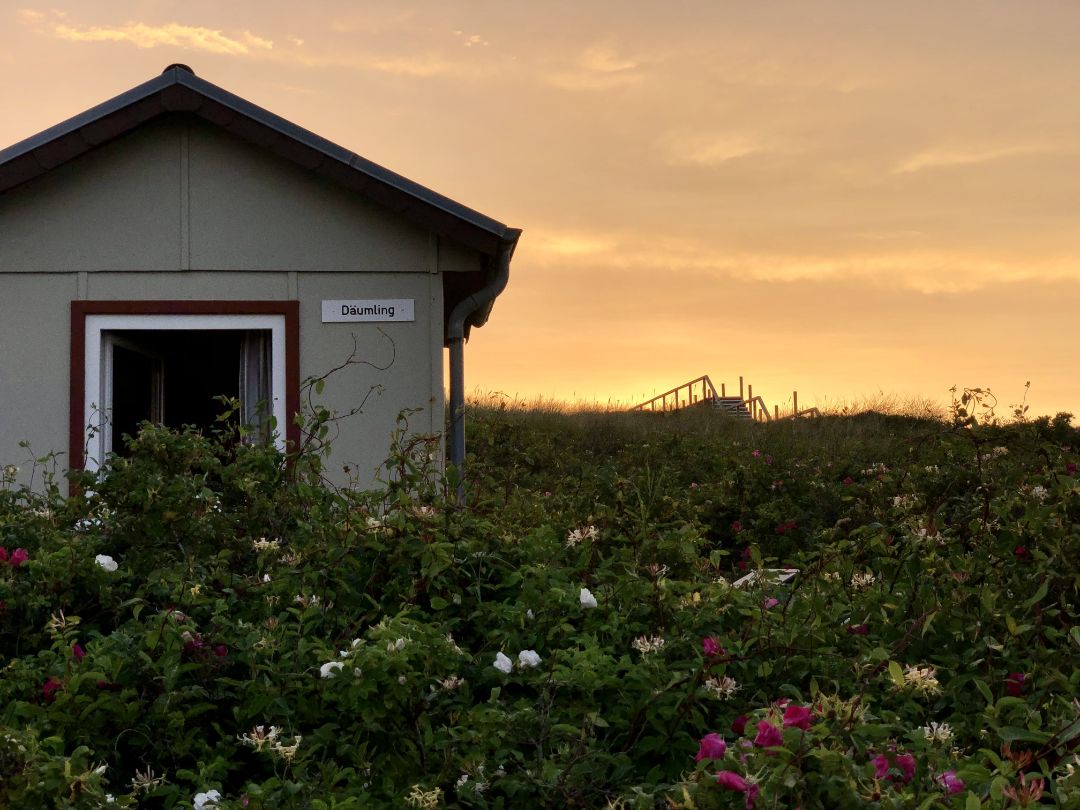 Akademie am Meer - Sylt - D&auml;umling